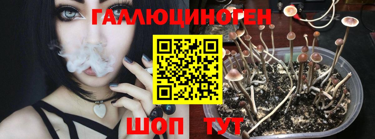 Ковров  Галлюциногенные грибы мицелий  Вход с VPN 