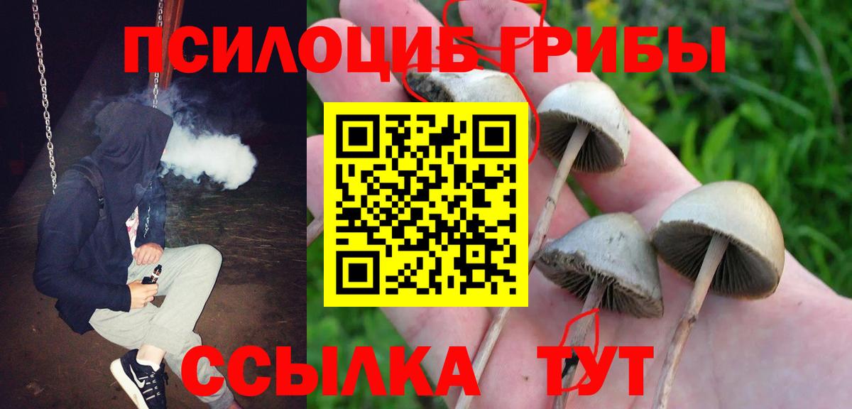 Псилоцибиновые грибы Magic Shrooms Ковров